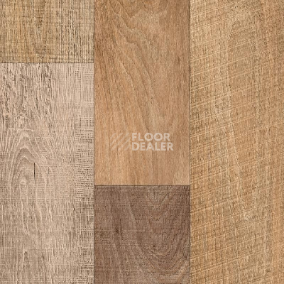 Линолеум IVC Bingo Chavin 534 фото 1 | FLOORDEALER